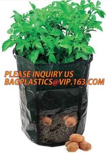 Wholesale Smart Grow Bags For Potato/Plant Container/Aeration Fabric Pots With Handles Fabric Plants Pots with Handles, Indoor from china suppliers