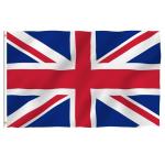 Double Stitching Polyester World Flags 150cmx90cm Indoor State Flag