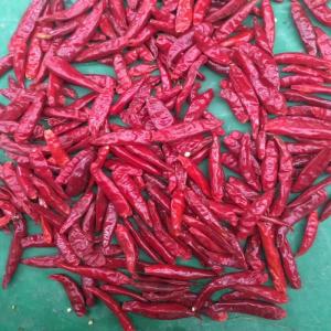 China 1.5cm Premium Red Chilli Ring  Package 1-20KG/CTN Seeds 0-35% on sale
