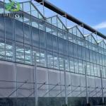 Continuous Heating Arched Roof Greenhouse for Vegetable and Cucumber Exhibition