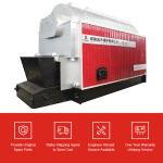 DZL Chain Grate Stoker 4 Ton Coal Fired Steam Boiler For Rice Mill Plant