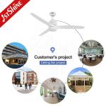 Low Profile DC110V Dimmable LED Ceiling Fan Reversible Quiet DC Motor