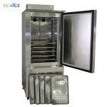 Automatic Commercial 500L Vertical Super Deep Freezer Blast Freezer Machine with