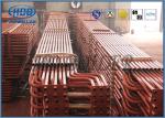 Eco Friendly High Pressure Superheater And Reheater Thicker Stainless Steel For
