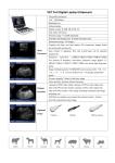 B/W Portable Laptop Ultrasound Machine Veterinary Li Battery ISO