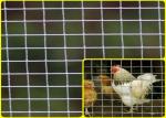 1/2''X 1/2'' Stainless Steel Welded Mesh Rolls For Breeding Protection High