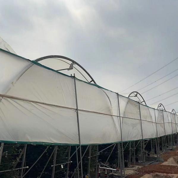 10000 Sqm Easy Connected Tunnel Cgreenhoue Plastic Poly Film Growing Strawberry