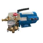 Portable Electric Pressure Test Pump 400W 110V / 220V