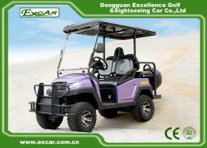 Wholesale EXCAR Electric Hunting Buggy With Trojan Battery/Curtis Controller from china suppliers