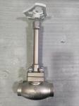 Stainless Steel PN50 Low Temperature Long Stem Globe Valve