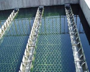 Wholesale Versatile Inclined Plates Clarifier For Wastewater Treatment from china suppliers