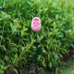 Small Solar Flower Garden Ornaments Multicolor IP44 Solar Powered Metal Flowers