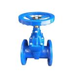 BS 4504 Ductile Iron PN10 PN16 DN100 50mm Non Rising Stem Gate Valve NRS Gate