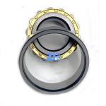 RN206ECM Cylindrical Roller Bearing 30*55.5*16mm hard-wearing single row