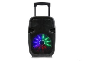 Wholesale Active Battery Rechargeable Portable Trolley Speaker With Wheels 10 Inch from china suppliers