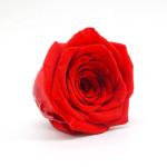 Long Time Using Dried Rose Heads , Allergy - Friendly Floral Head Wreath