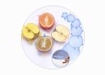 Stretchable Silicone Food Covers , Silicone Lid Covers For Bowls / Pots / Cups