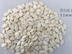 Original Flavor Roasted Seeds And Nuts Snow White Pumpkin Seeds 99% Purity