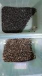 WENYAO Sunflower Seed Color Sorter , 7T/h Seed Processing Plant Machinery