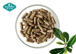 Wholesale Gymnema Sylvestre Capsules for Maintain Healthy Blood Sugar Levels from china suppliers
