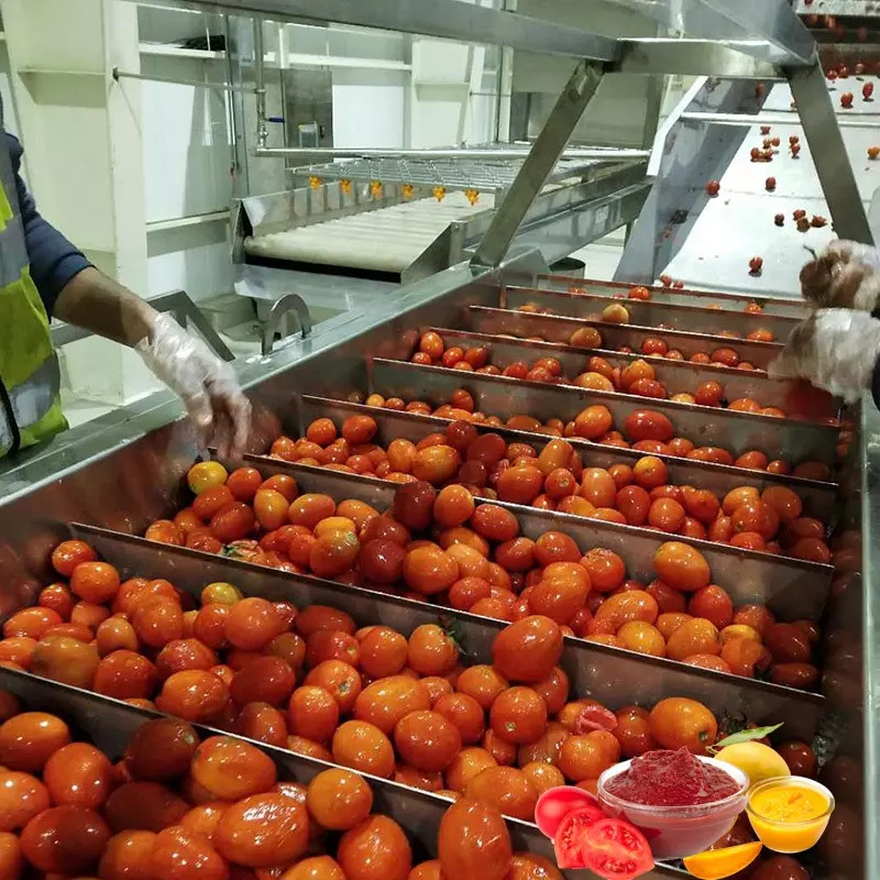 Hot Sale Complete Customized Tomato Production Plant New Omate/Tomat Juice/Sauce/Pulp Processing Machine With PLC SUS304/316