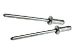 Polishing Hardware Rivets Round Head Stainless Steel Pop Rivets 3.2mm Close End
