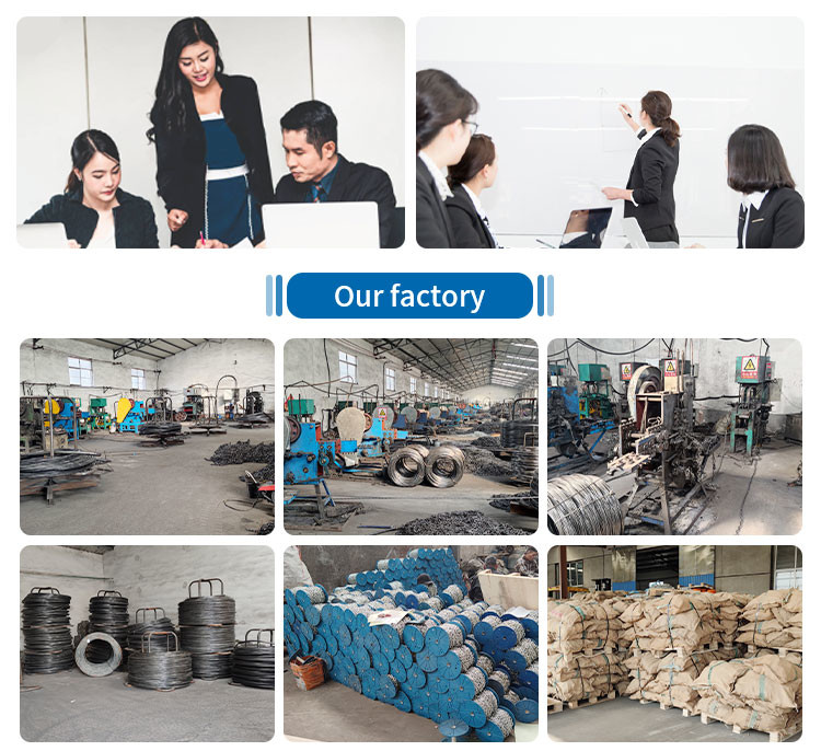 Animal Farm Feed Chain Disk Conveyor Automatic Feeding System