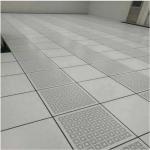 Ventilated Raised Floor for Data Center