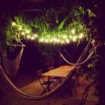 100V-220V Customized Size Starry LED Garland For Outdoor Garden Bedroom Backdrop