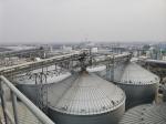 Take Your Business To The Next Level With Grain Storage Silo Comprehensive
