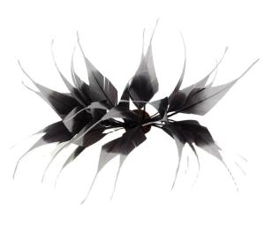 Wholesale Millinery Stripped Goose Feather Mounts , Dried Flowers Feathers 10x15cm from china suppliers