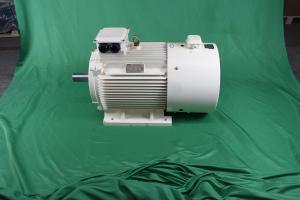 Wholesale YVFE3 250M-2 55kW 380V Variable Frequency Drive Motor IEC 60034-30 from china suppliers