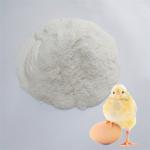 Organic Calcium 10% Chelated Minerals Powdered Egg Shells Light White Powder