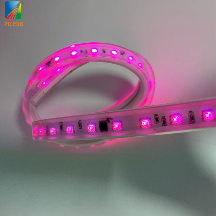 Dimmable LED Pixel Strip , Neon Flexible Strip Light Waterproof Remote Control