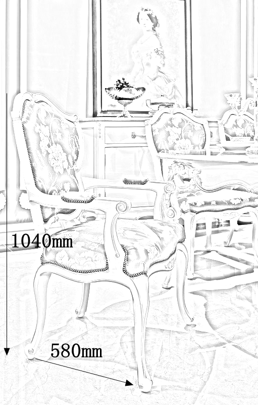 Mediterranean style wood design royal dining chairs FY-105