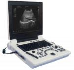 2mm Veterinary Ultrasound System 2-12mhz Pets Farm Animals