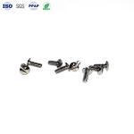 Custom M0.8 Stainless Steel Polished Slot Pan Head Machine Tooth Watch Screw