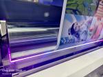 New Designed 8 Colors Fabric No-woven PP-woven Foil Film Bopp Flexo Printing