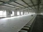 Coop grid floor, A floor that leaks chicken manure through the grille