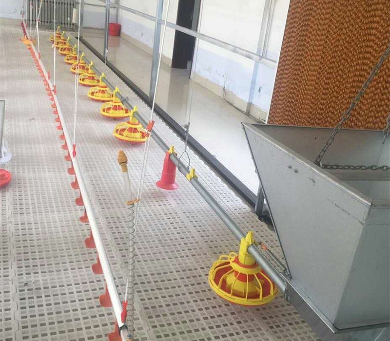 380V Nipple Drinker Automatic Feeding Machine For Poultry