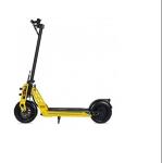 Reliable Electric Scooter with 600w Rear Drive Brushless Motor and High