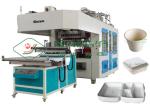 7000 pcs/h Biodegradable Bagasse Tableware Making Machine