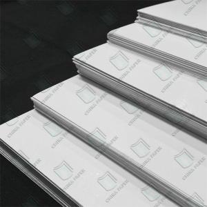 Wholesale 190g Lpb With Kraft Back Food Board Roll White brown from china suppliers