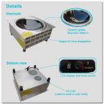 Built-in schott ceran induction stoves