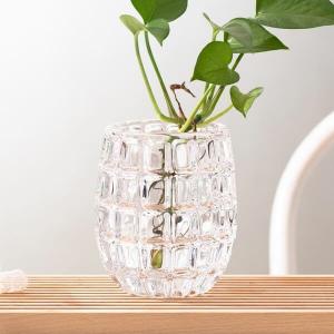 China Egg Shape Home Decoration Glass Bottles 520ml Machine Made Mini Clear Glass Vases on sale