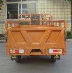 Adult Motorized 200CC Cargo Tricycle Three Wheel Motorcycle Automatic Gear Box