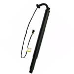 51247332698 Rear Gas Spring Strut Electric Tailgate Gas Strut For BMW X6 E71