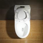 Mainstream Elongated Cupc Toilet Perfectly Terrific Lines American Standard