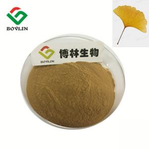 China Heart Attack Prevention 10:1 80 Mesh Ginkgo Biloba Leaf Powder Anti Stroke on sale