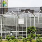 Snow Resistant Luxury Multi-span Agricultural Venlo Glass Greenhouse For